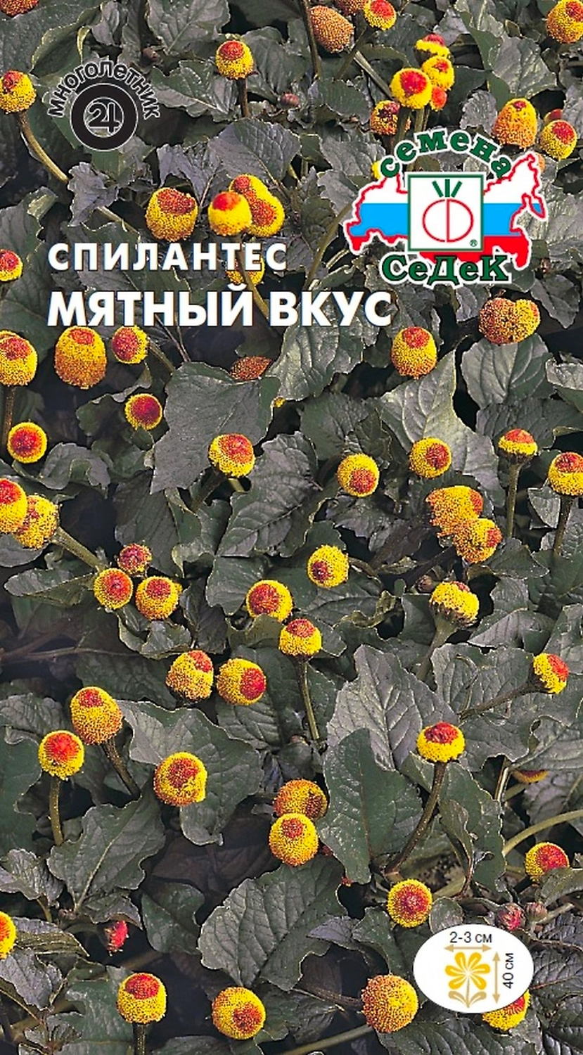 Семена спилантеса СеДеК Мятный вкус 0,1 г