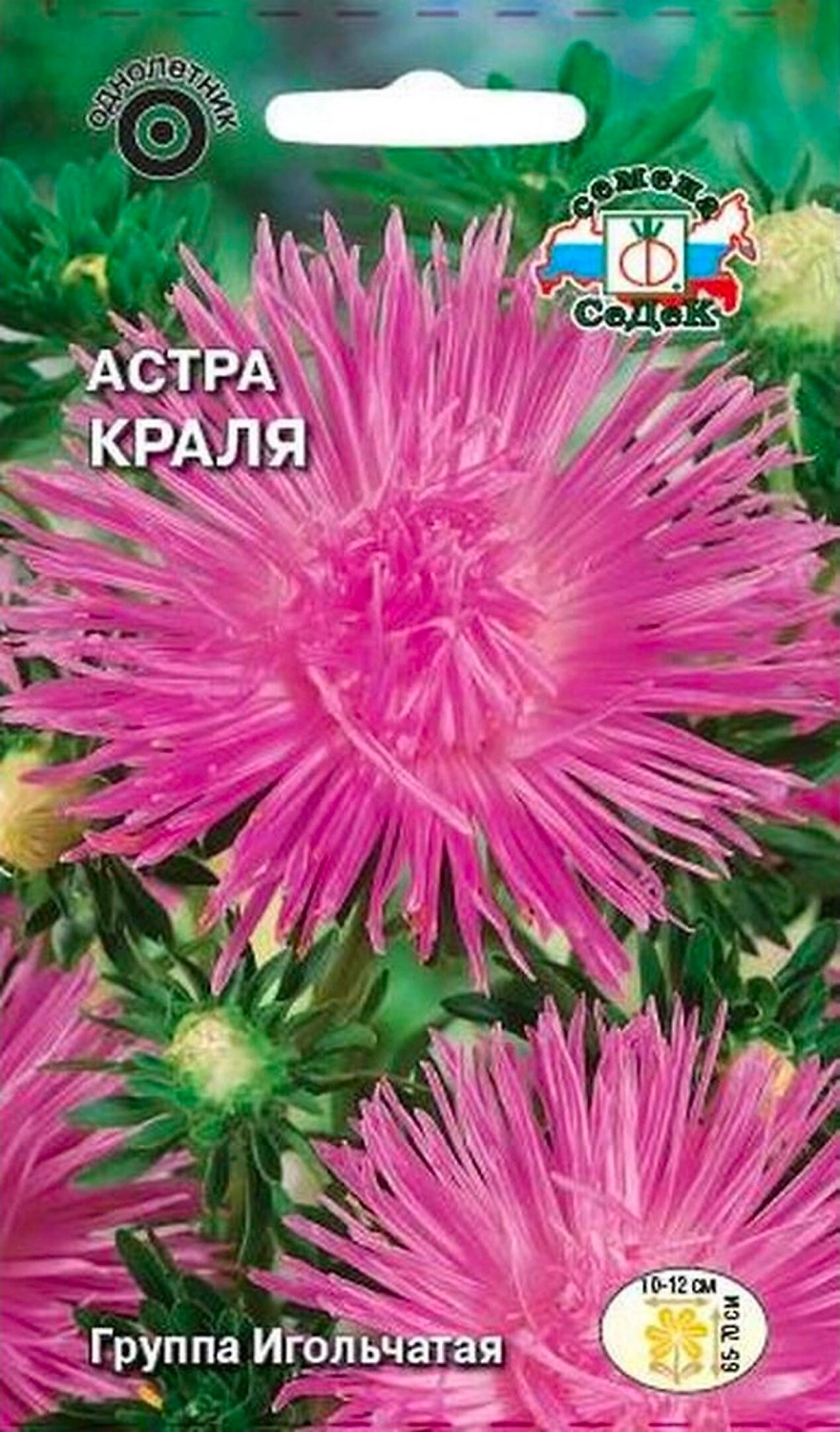 Семена Астры СеДеК Краля 0,25 г