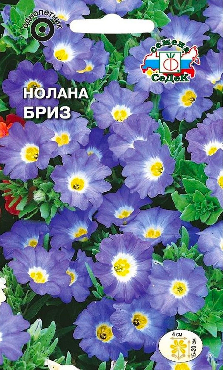 Семена Ноланы СеДеК Бриз 0,5 г