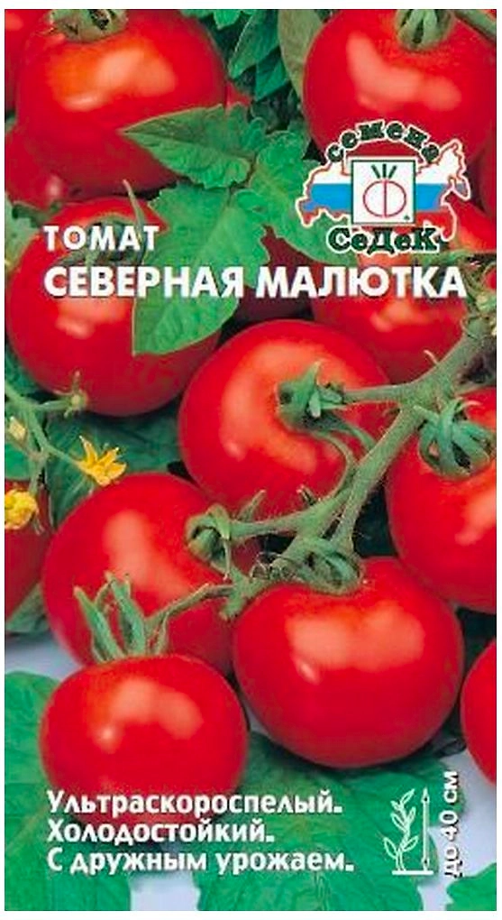 Семена Томата СеДеК Северная малютка 3 г