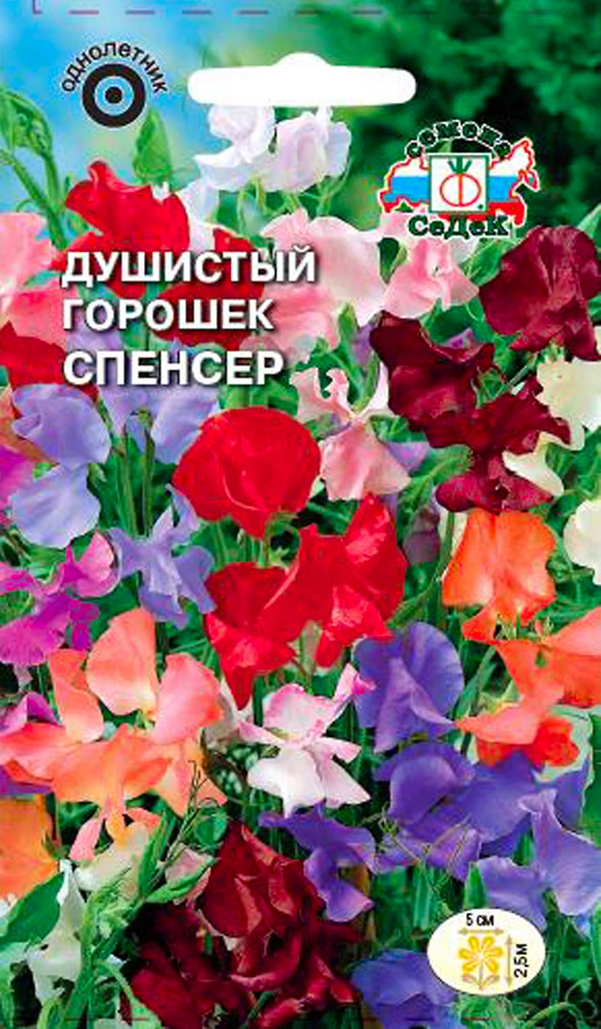 Семена Душистого горошка СеДеК Спенсер 1 г в ассортименте