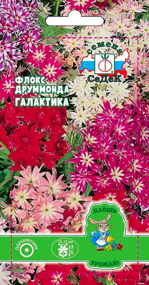 Семена Флокса друммонда СеДеК Галактика смесь 3 г