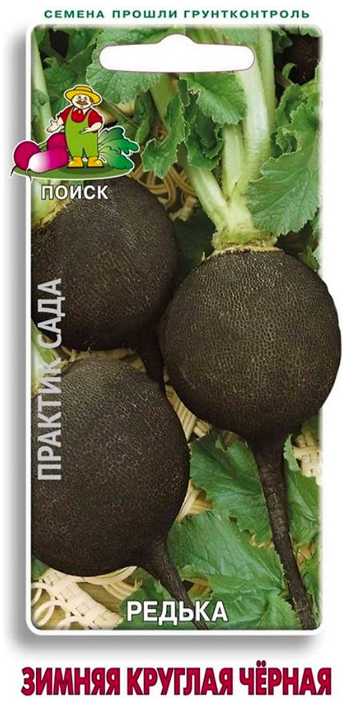 Семена Редьки ПОИСК Практик Сада Зимняя круглая черная 2 г