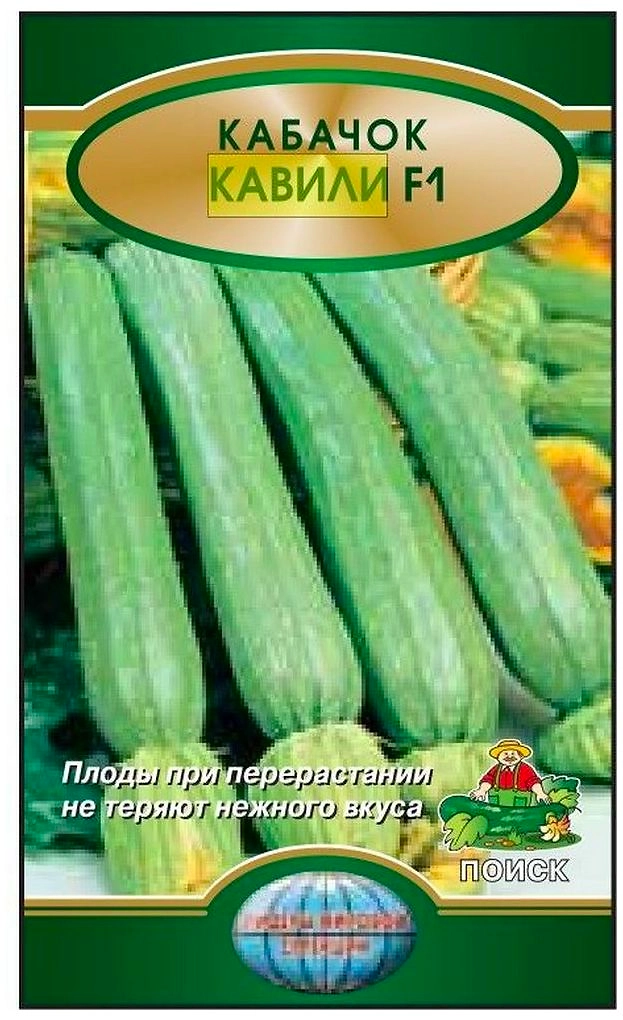 Семена Кабачка ПОИСК Лидеры мировой селекции Кавили F1 5 шт