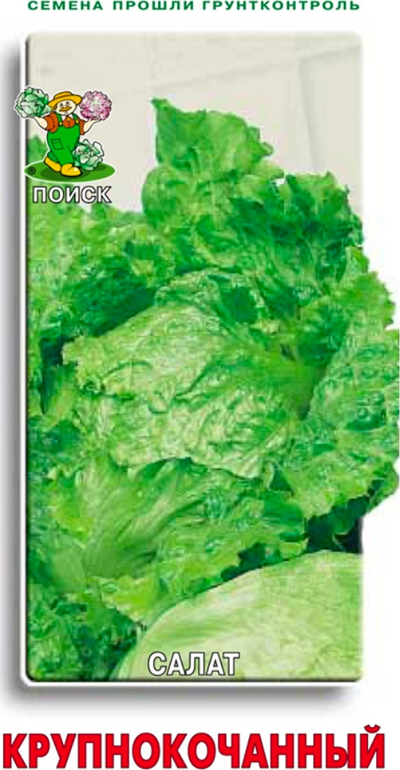 Семена Салата ПОИСК Крупнокочанный 1 г