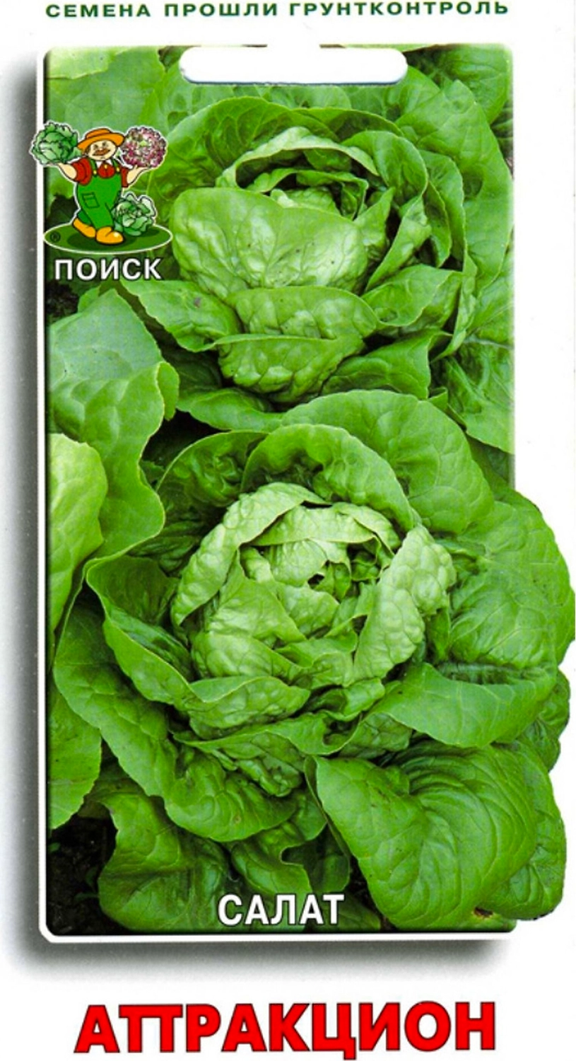 Семена Салата ПОИСК Аттракцион 1 г