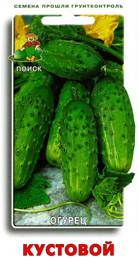Семена Огурца ПОИСК Кустовой 15 шт
