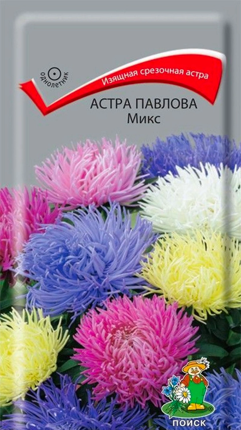 Семена Астры ПОИСК Павлова в ассортименте 0,3 г