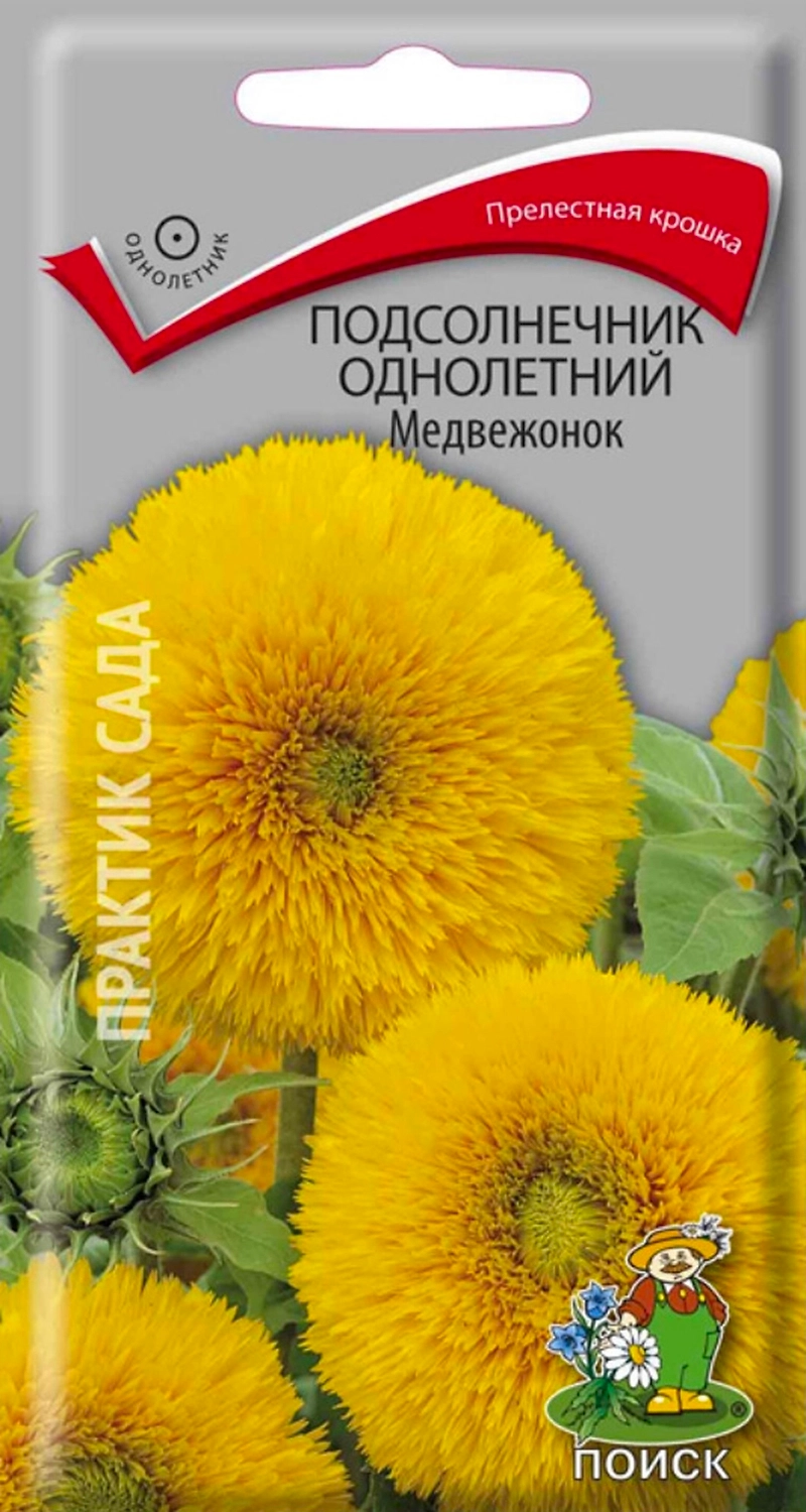 Семена Подсолнечника однолетнего ПОИСК Медвежонок 0,5 г