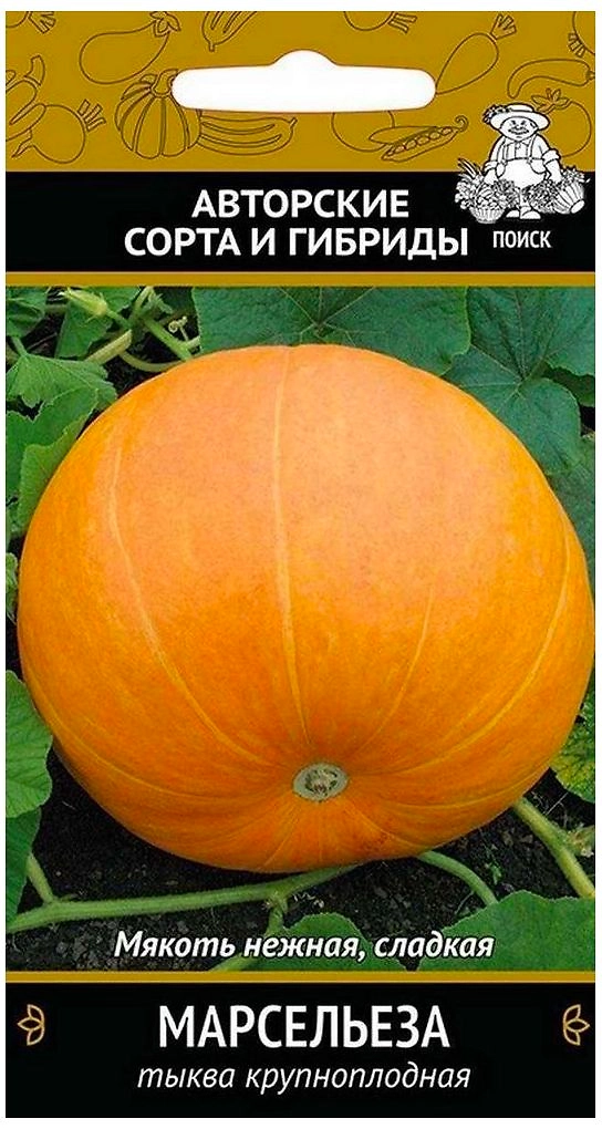 Семена Тыквы крупноплодной ПОИСК Авторские сорта и гибриды Марсельеза 10 шт
