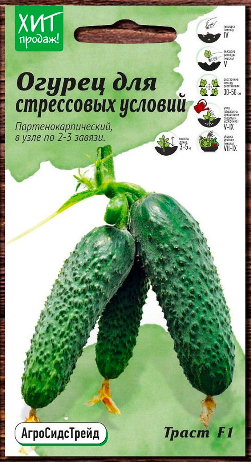 Семена Огурца АгроСидсТрейд Траст F1 7 шт