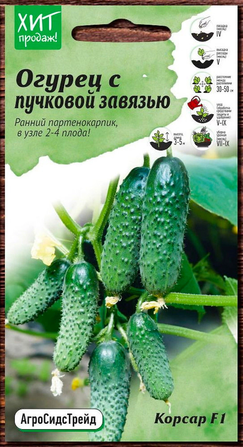 Семена Огурца АгроСидсТрейд Корсар F1 7 шт 2 г