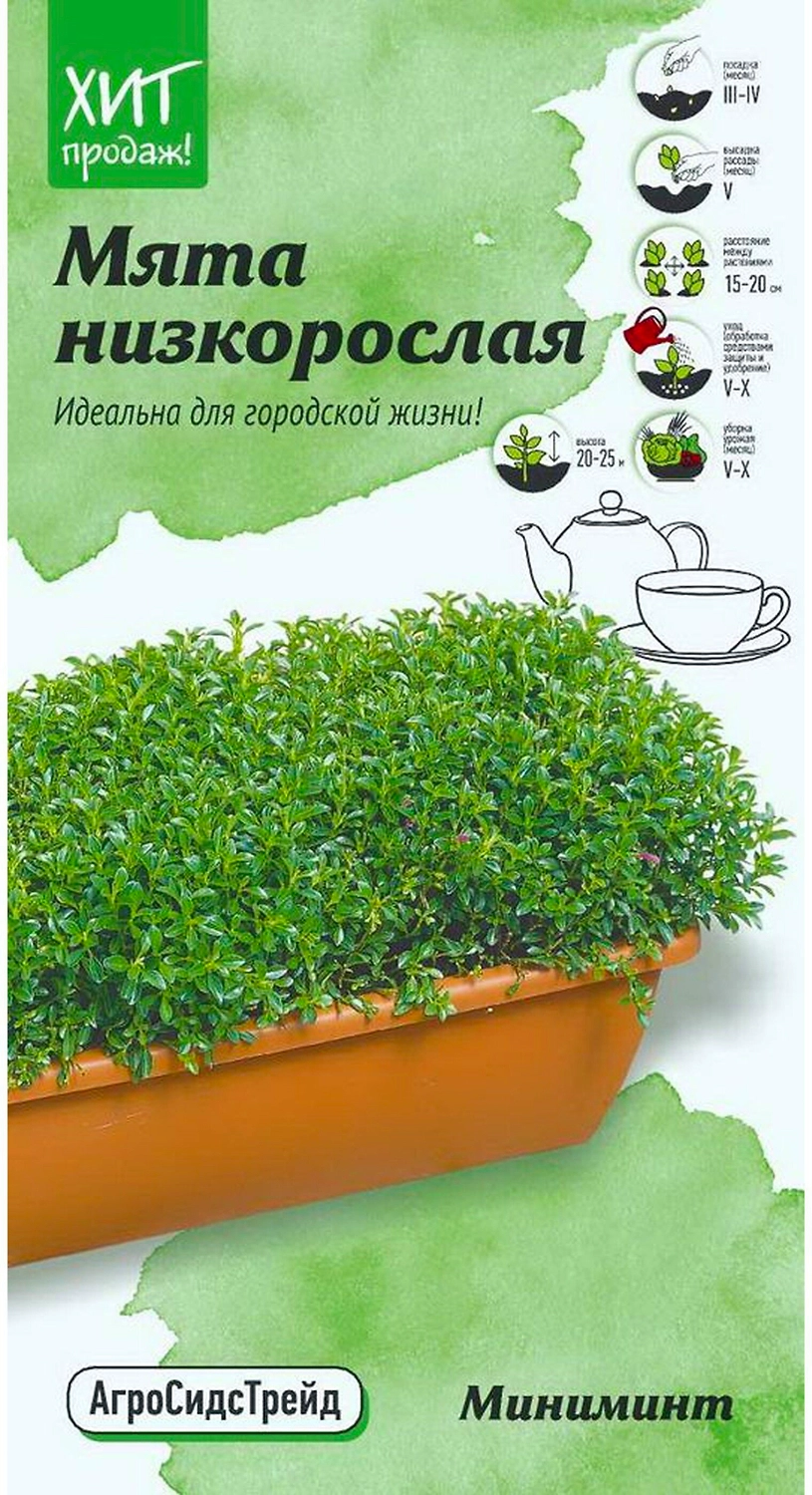 Семена Мяты АгроСидсТрейд Мини Минт 3 г