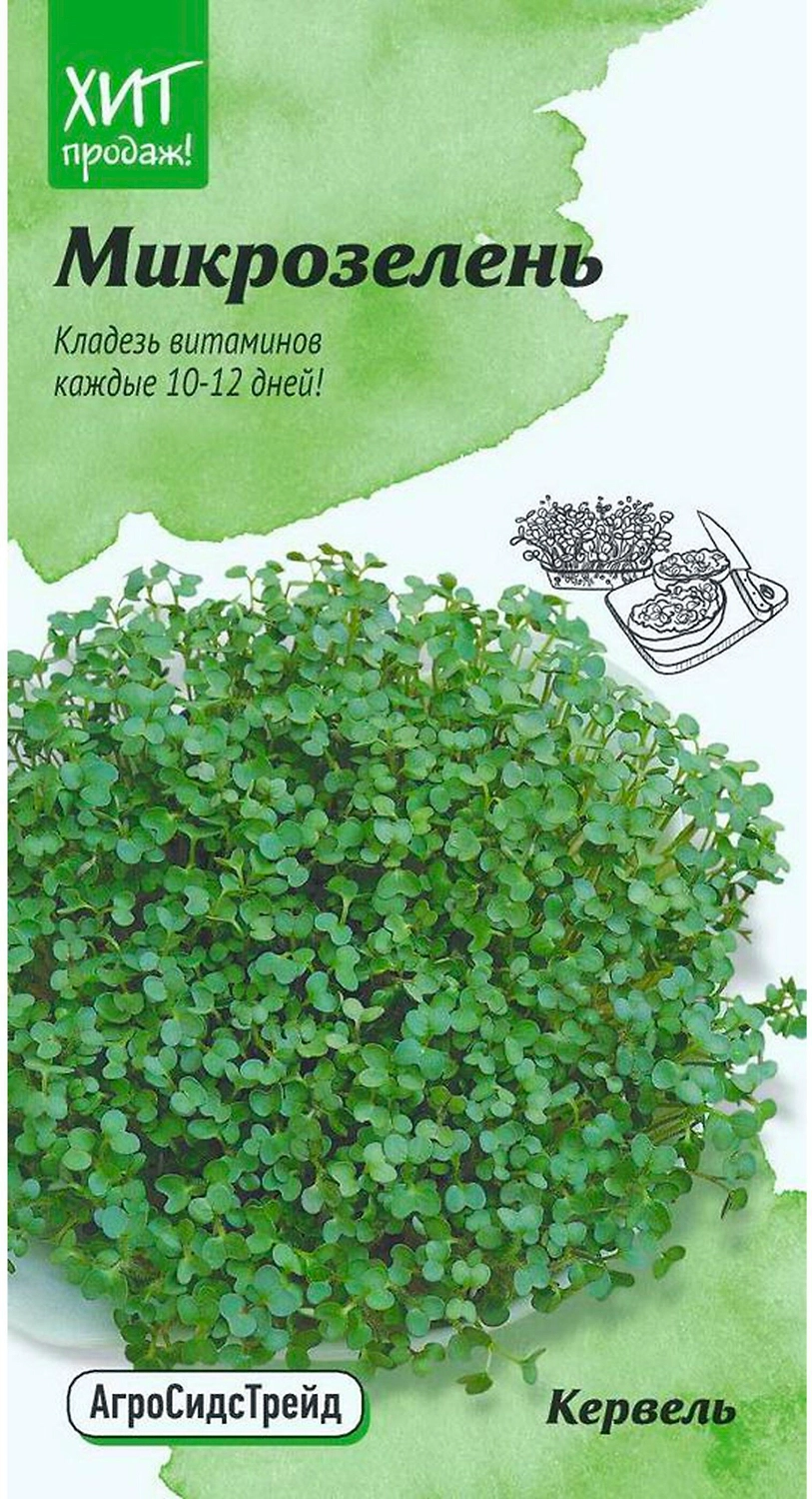 Семена Кервеля АгроСидсТрейд 5 г