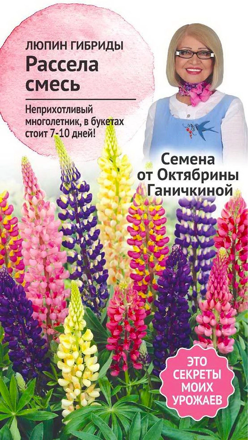Семена Люпина Октябрина Ганичкина Гибриды Расселя 0,5 г