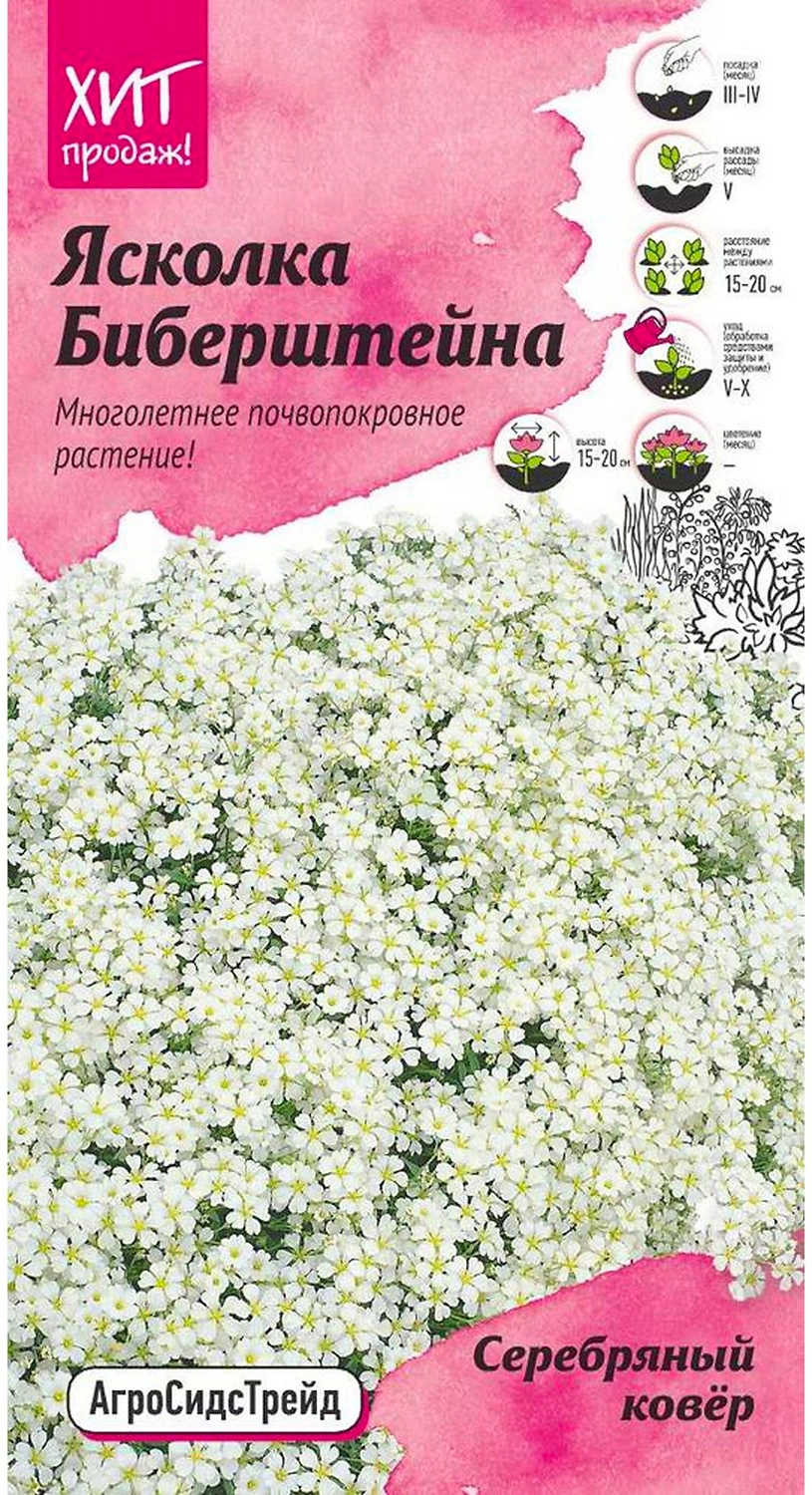 Семена Ясколки АгроСидсТрейд Серебряный ковер 0,1 г