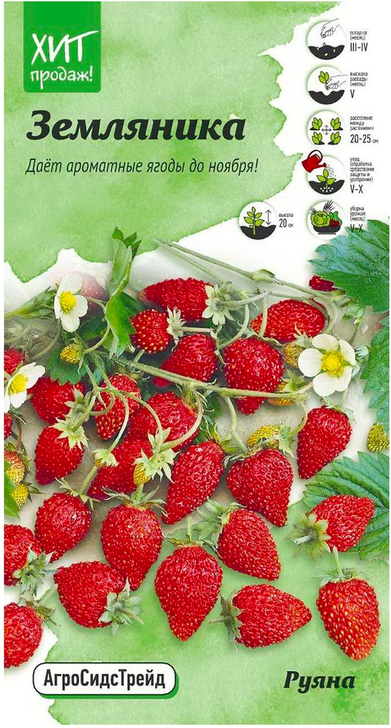 Семена Земляники АгроСидсТрейд Руяна 0,04 г