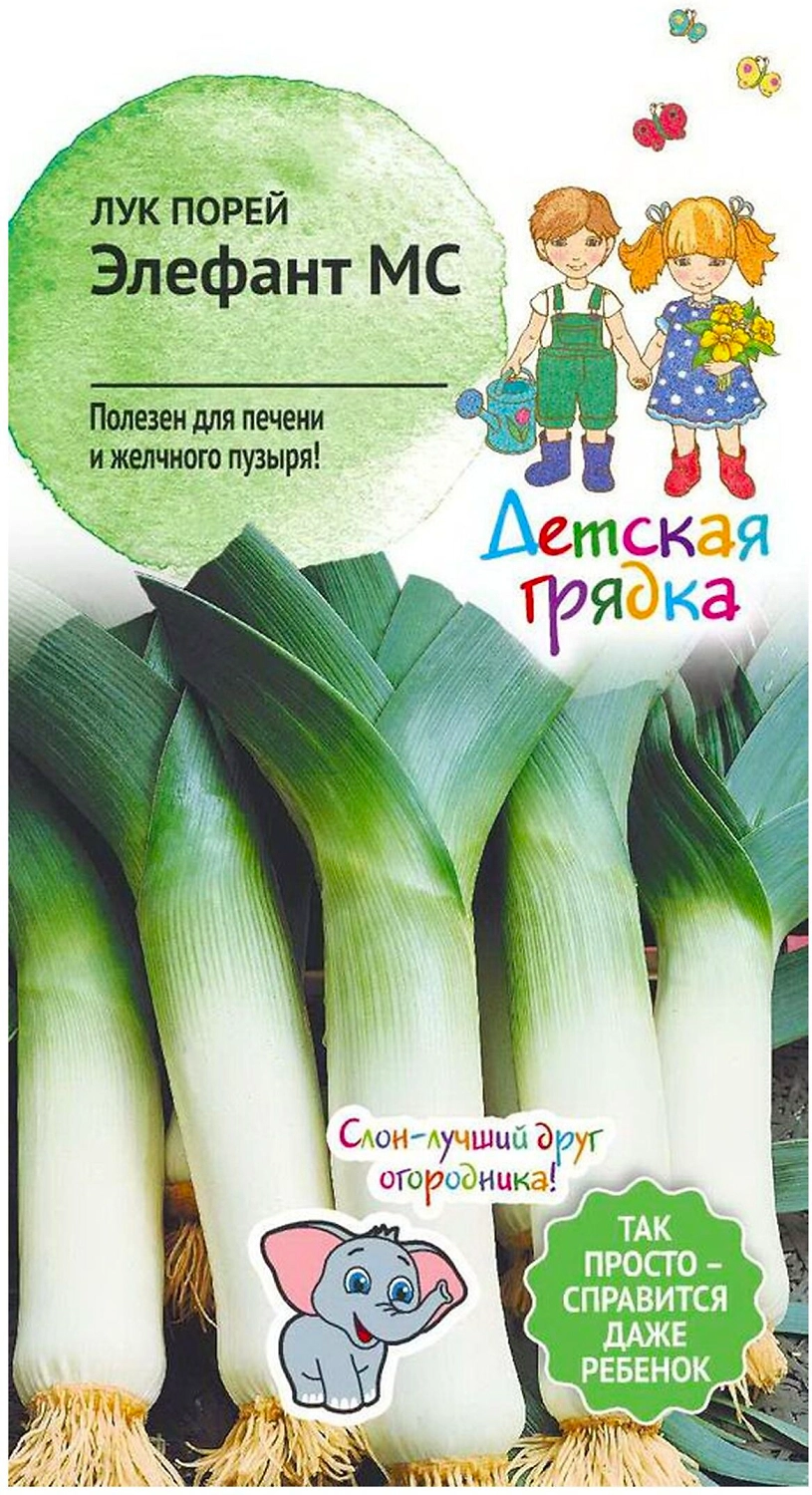 Семена Лука-порея Десткая грядка Элефант МС 0,5 г
