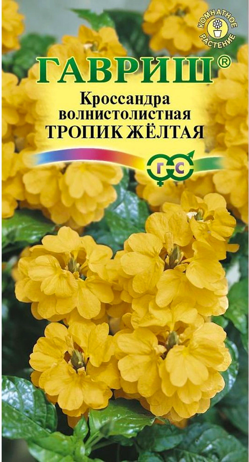 Семена Кроссандры ГАВРИШ Тропик желтая 3 шт