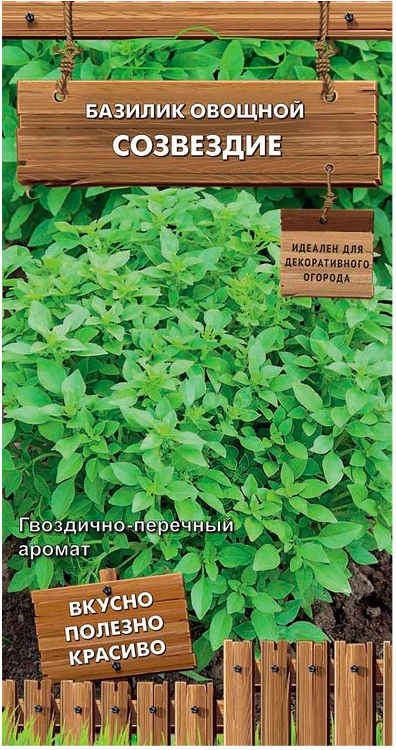 Семена Базилика ПОИСК Овощной Созвездие 0,1 г