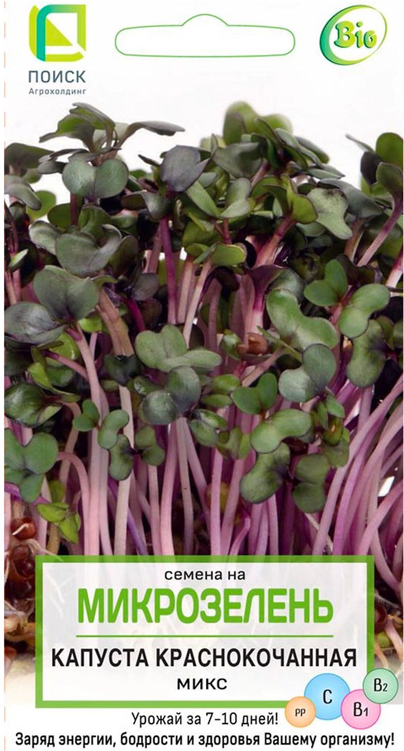 Семена Капусты ПОИСК Семена на микрозелень Краснокочанная микс 5 г