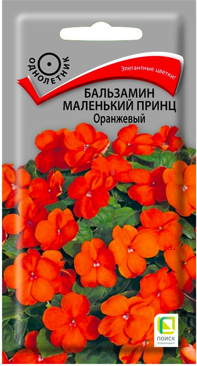 Семена Бальзамина ПОИСК Маленький принц 5 г