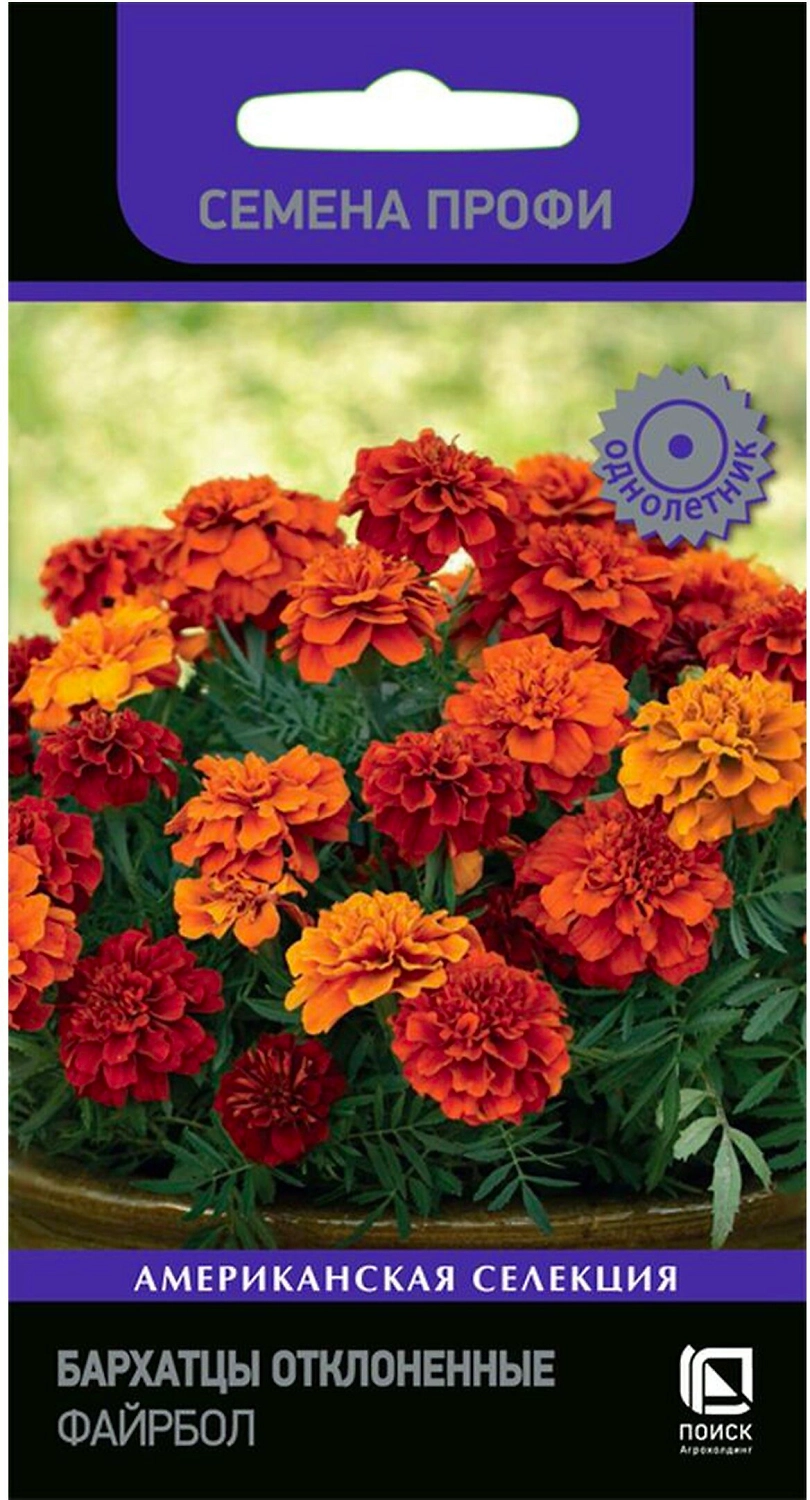Семена Бархатца ПОИСК Файрбол 10 шт
