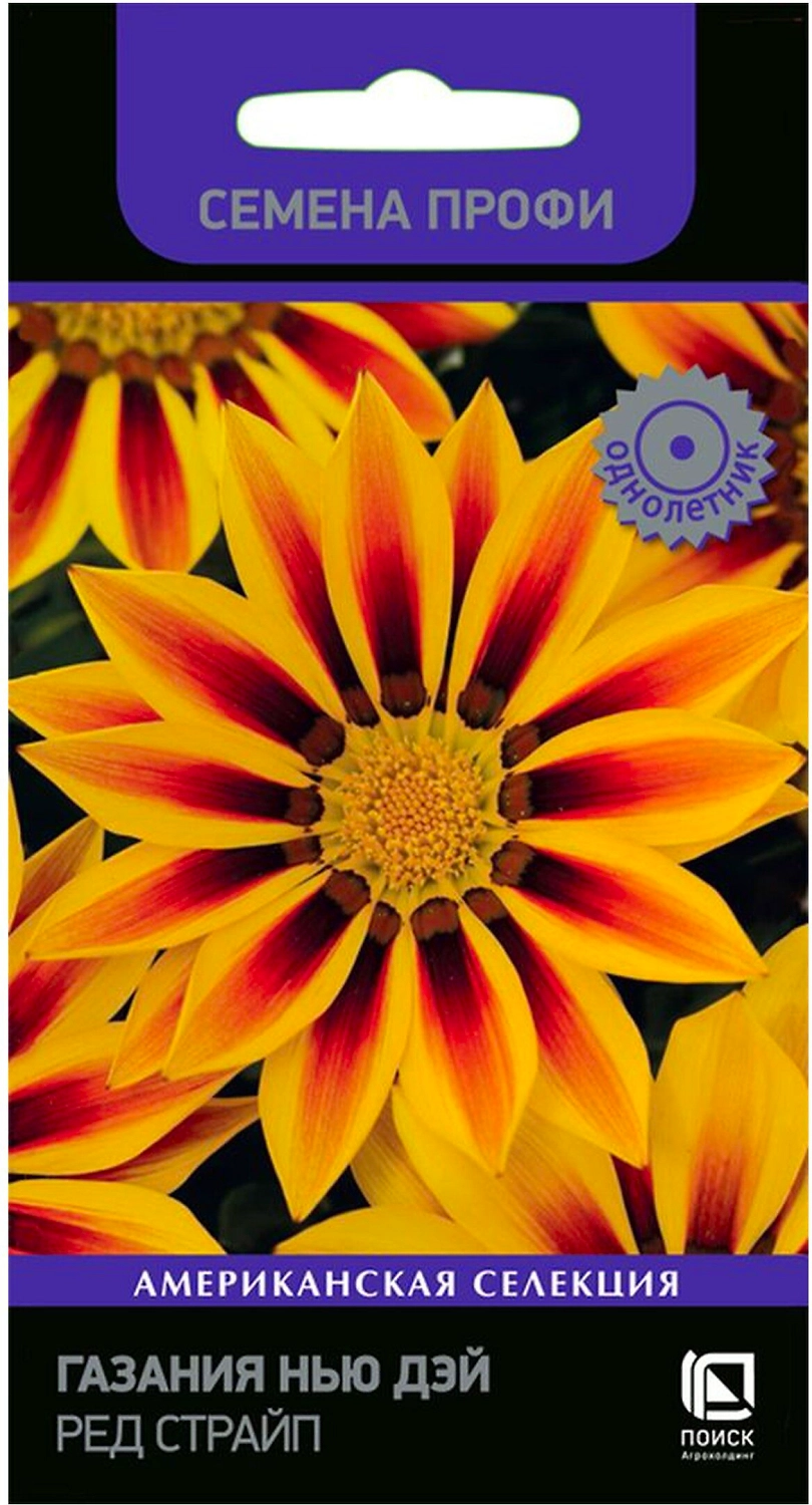 Семена Газании ПОИСК Нью Дэй Ред Страйп 10 шт