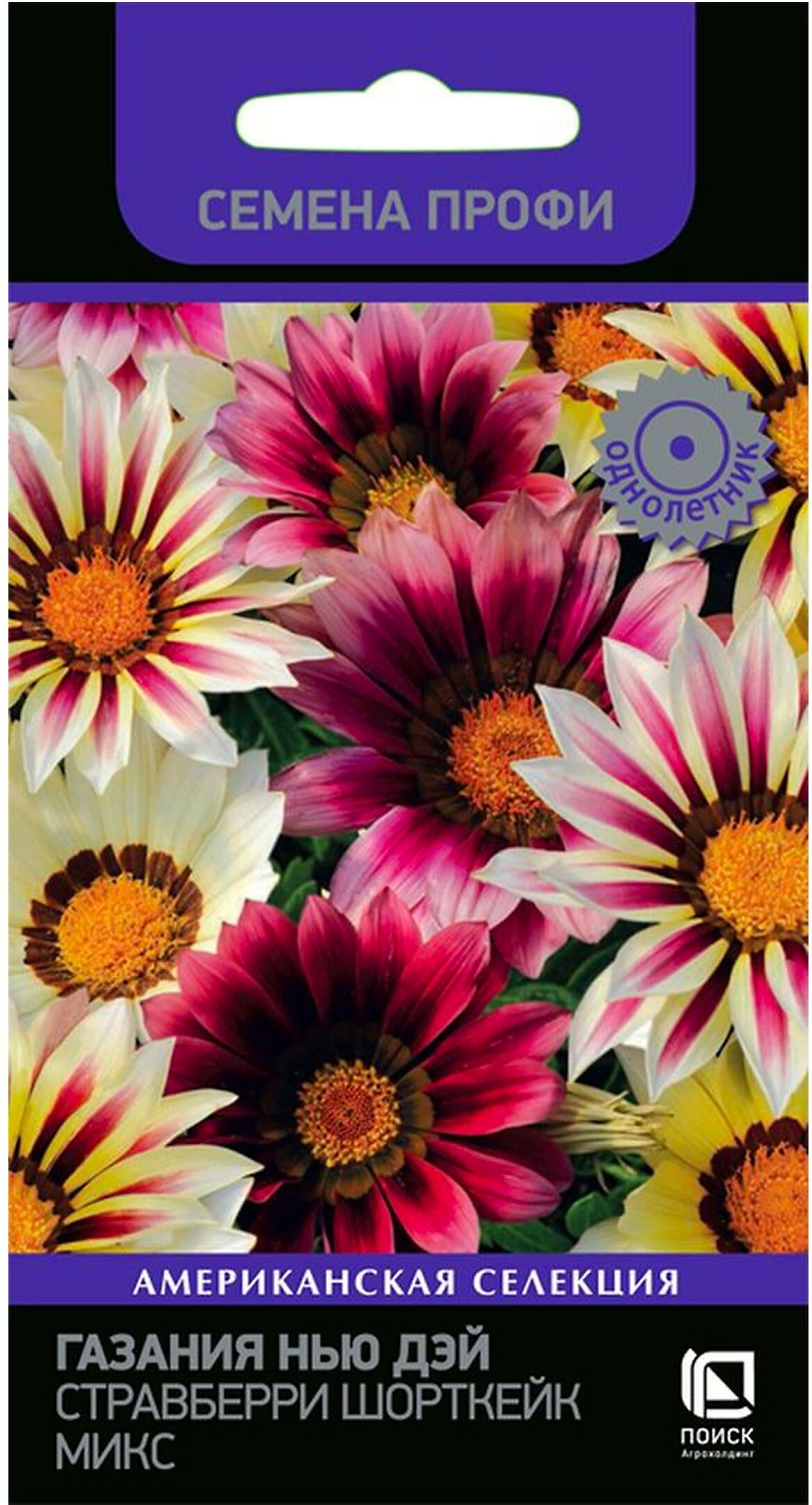 Семена Газании ПОИСК Нью Дэй Стравберри Шорткейк 10 шт