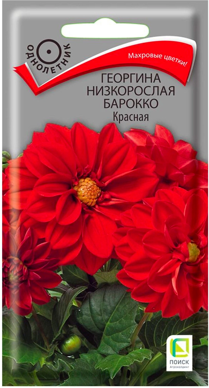 Семена Георгины ПОИСК Барокко красная 1 г