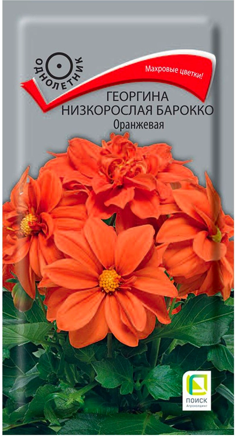 Семена Георгины ПОИСК Барокко оранжевая 1 г