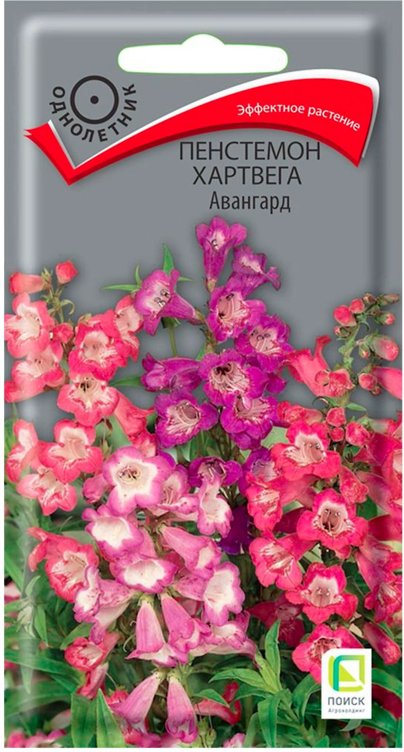 Семена Пенстемона ПОИСК Хартвега Авангард 5 г