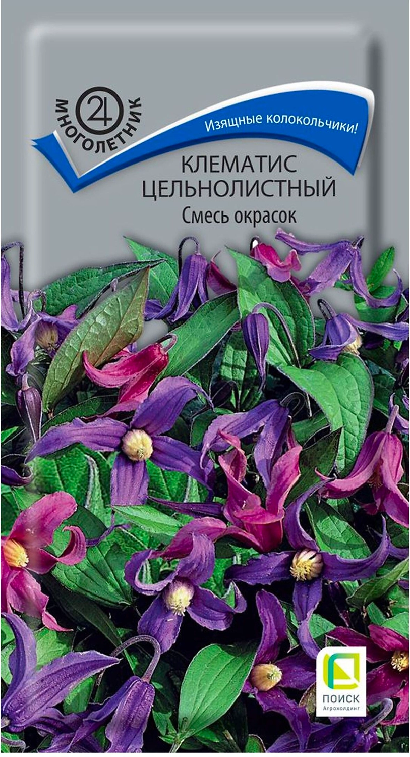 Семена Клематиса ПОИСК  Цельнолистный смесь окрасок 1 г