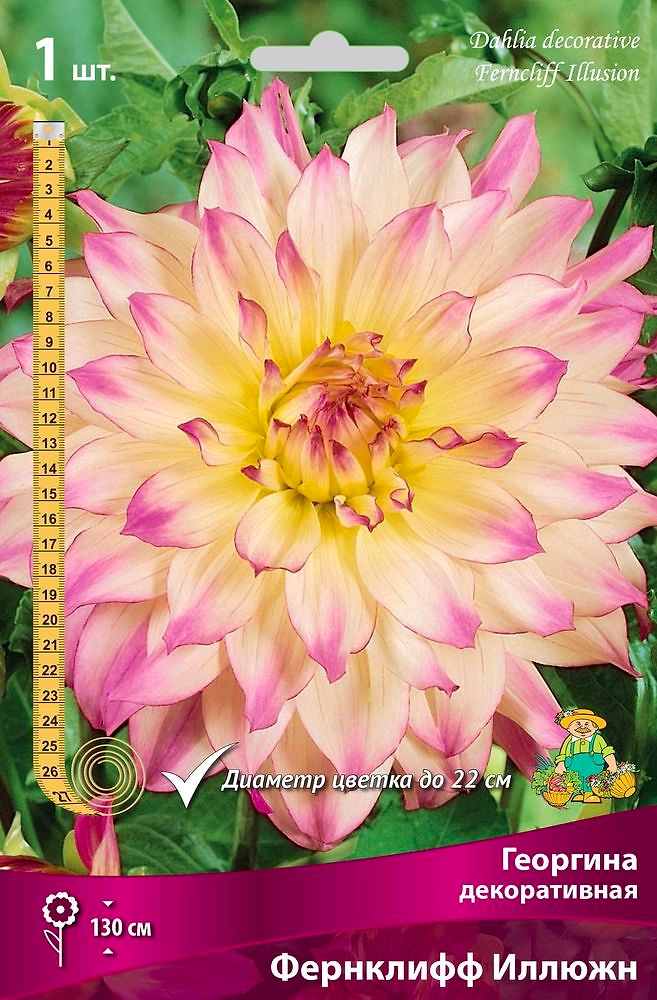 Семена Георгина многолетняя фернклифф иллюжн 1 шт