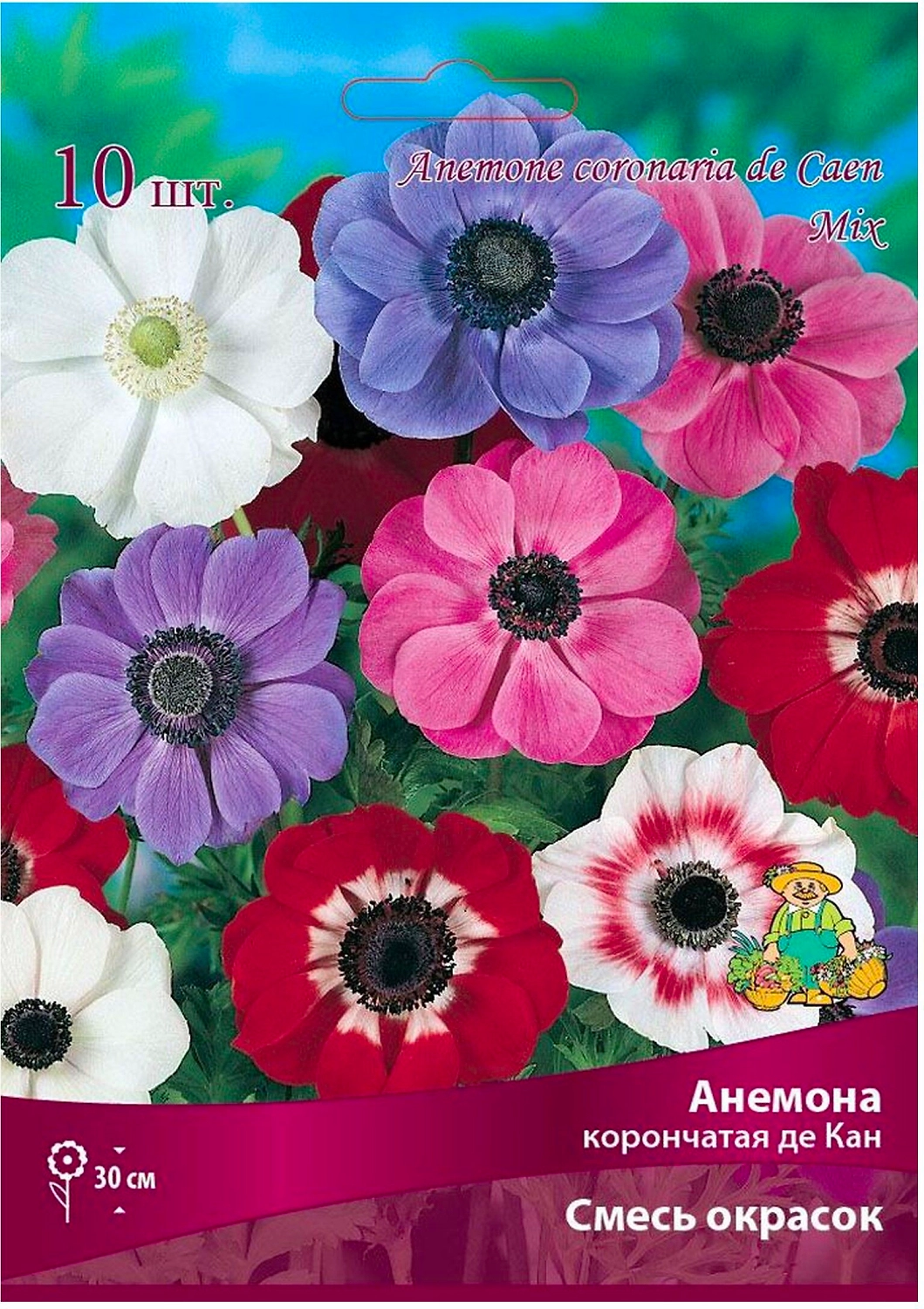Луковицы анемоны ПОИСК Де Кан смесь окрасок 10 шт