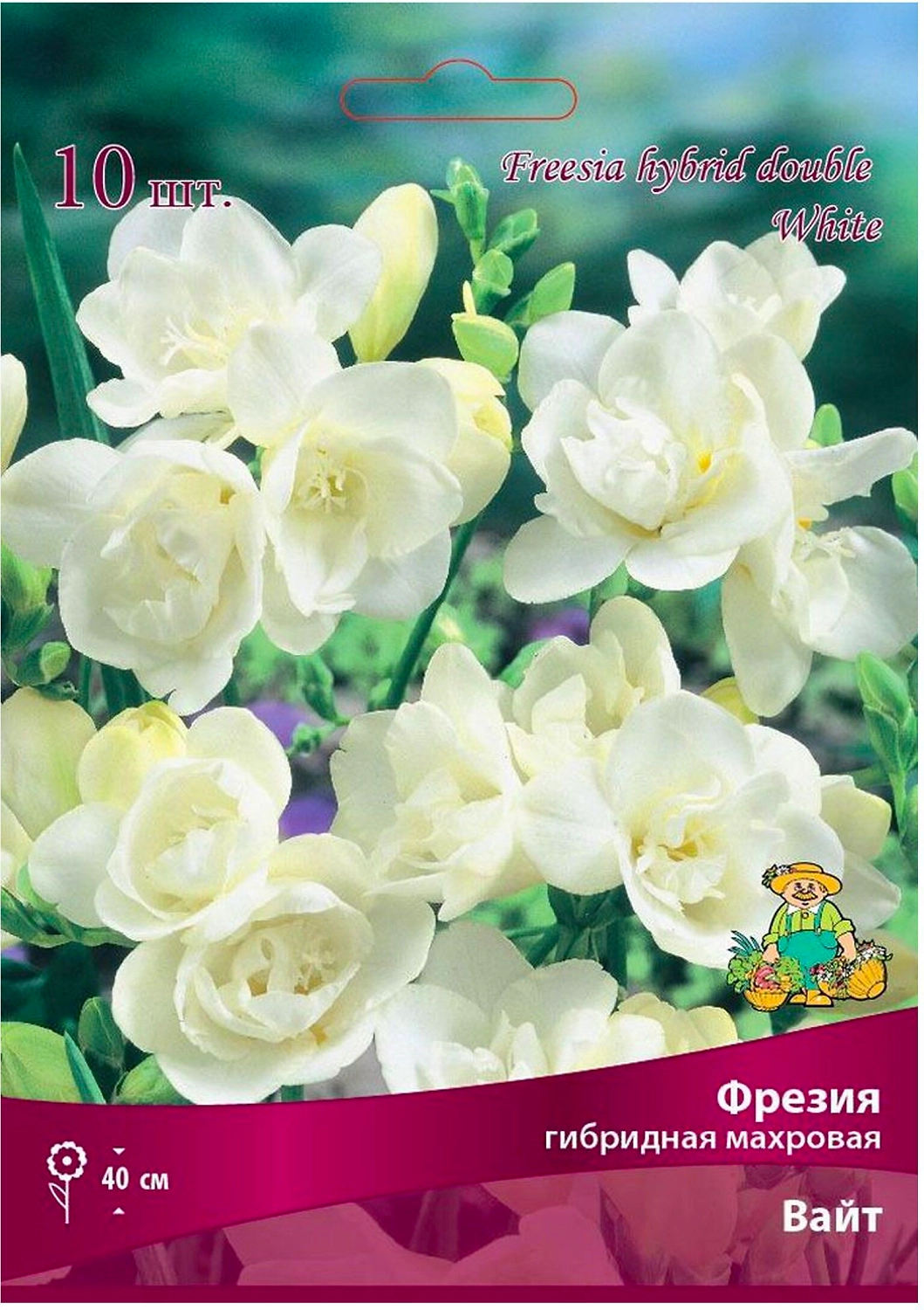 Луковицы фрезии ПОИСК Вайт 10 шт