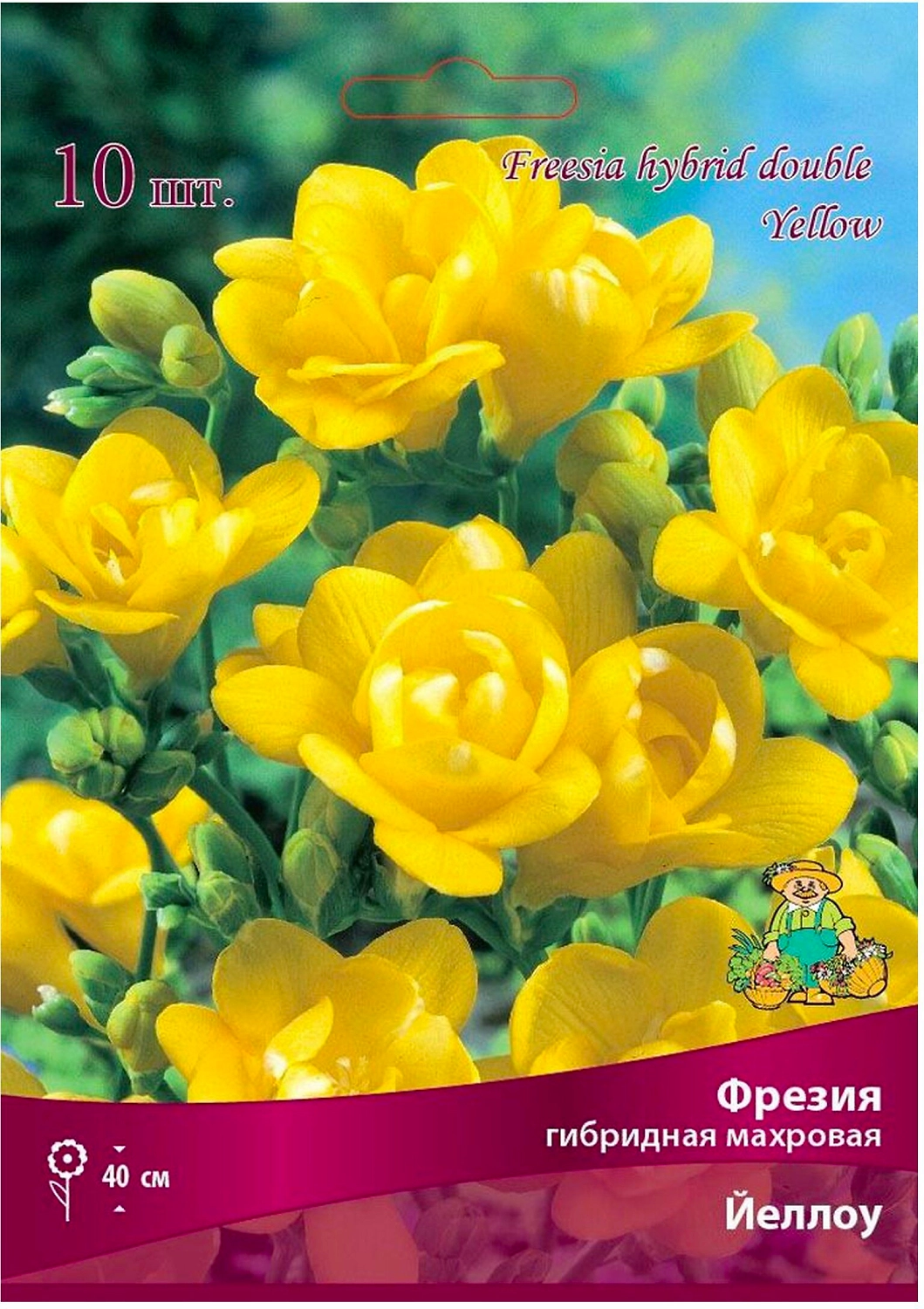 Луковицы фрезии ПОИСК Йеллоу 10 шт