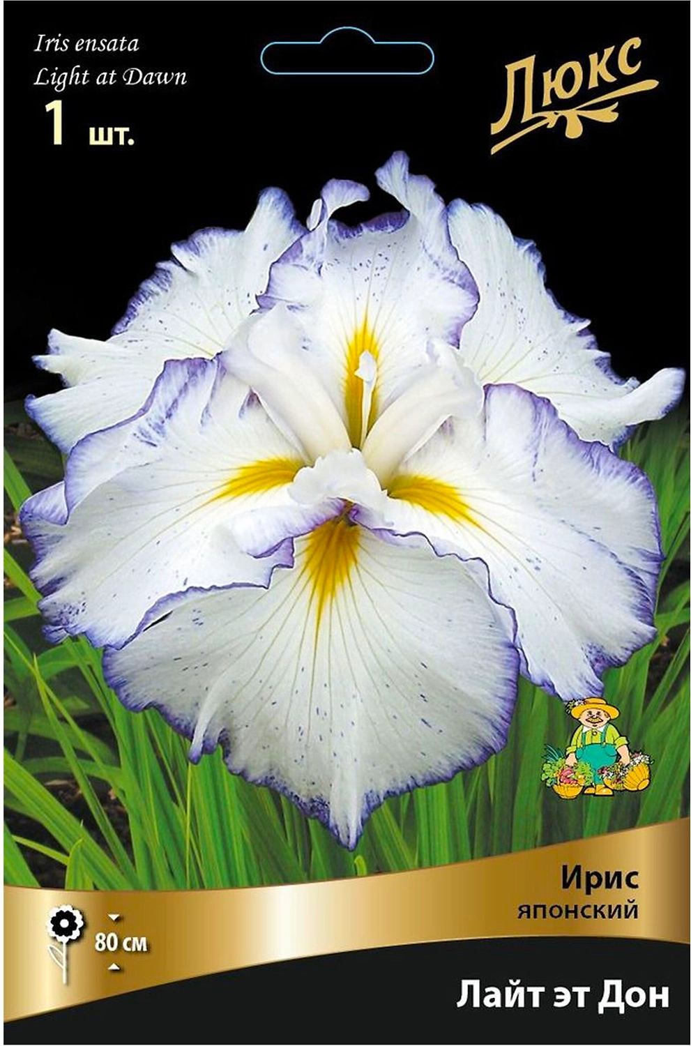 Луковица Ириса ПОИСК Люкс Лайт эт Дон