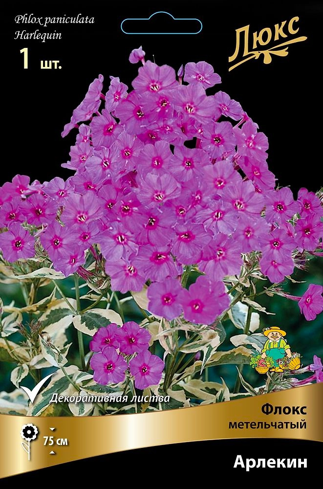 Семена Флокс многолетний арлекин 1 шт