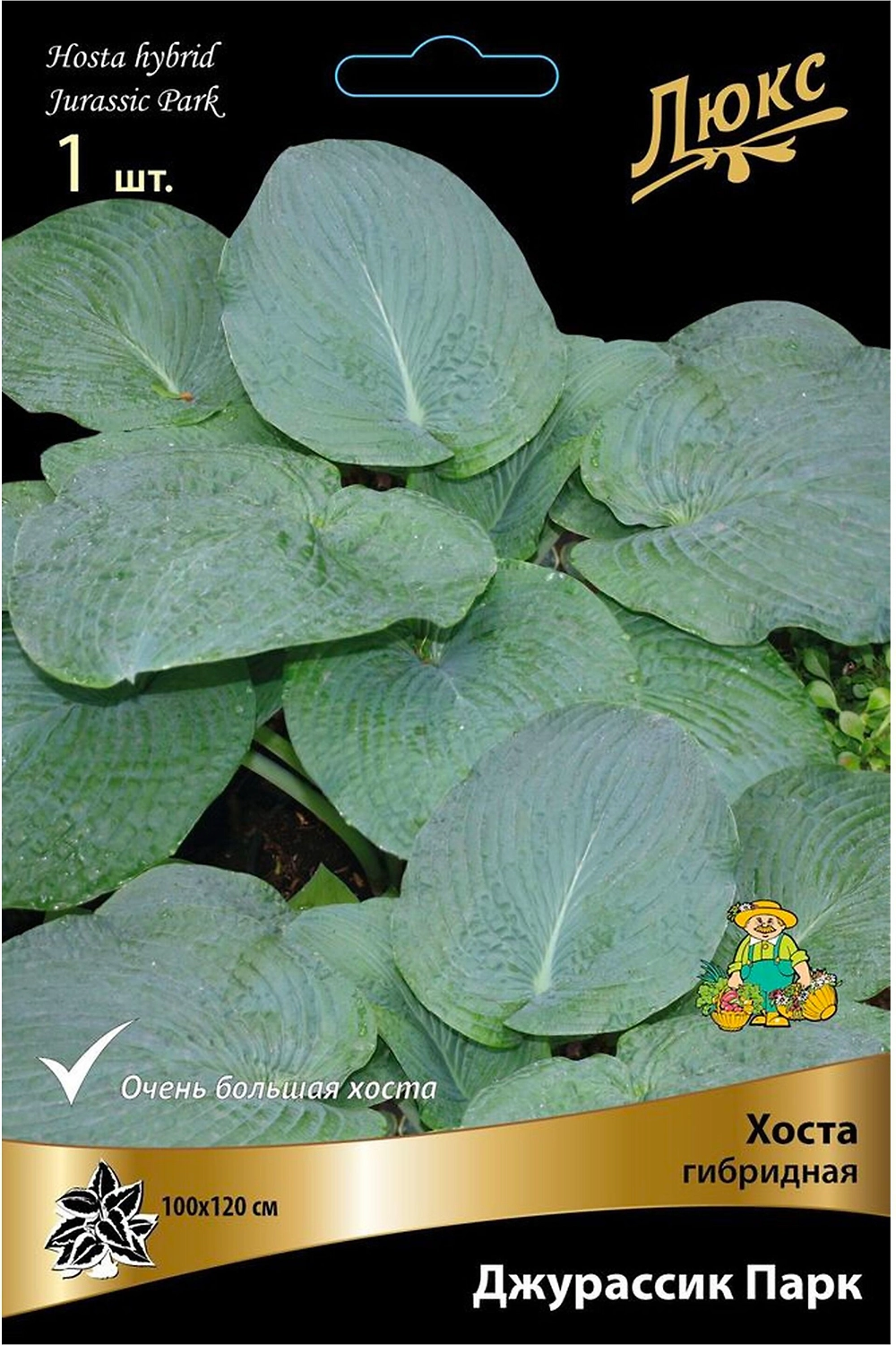 Корневище Хосты ПОИСК Джурассик Парк