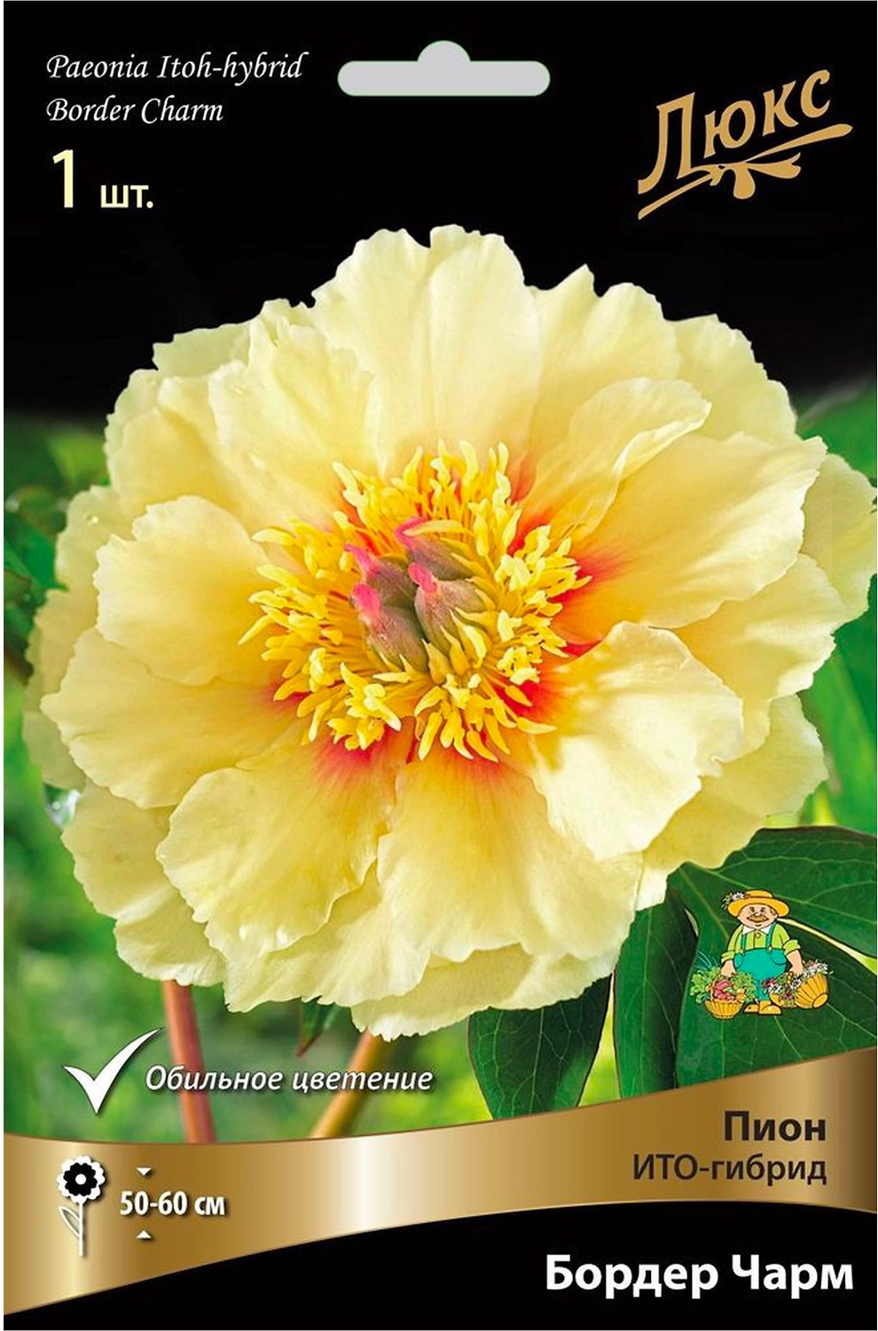 Корневище Пиона ПОИСК Люкс Бордер Чарм
