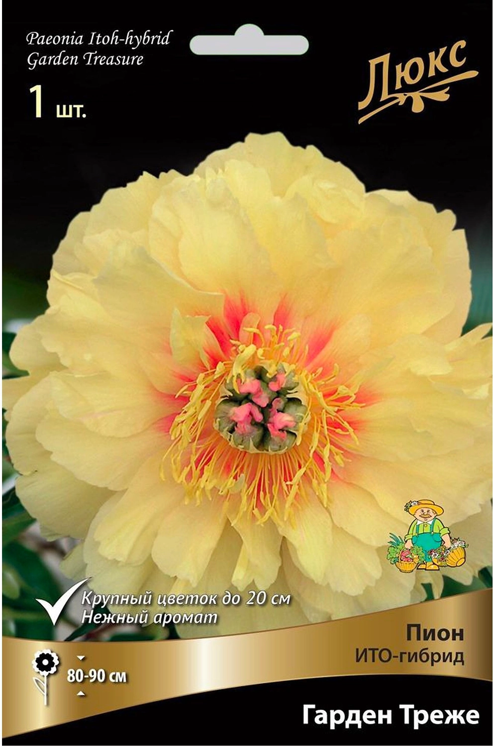 Корневище Пиона ПОИСК Люкс Гарден Треже