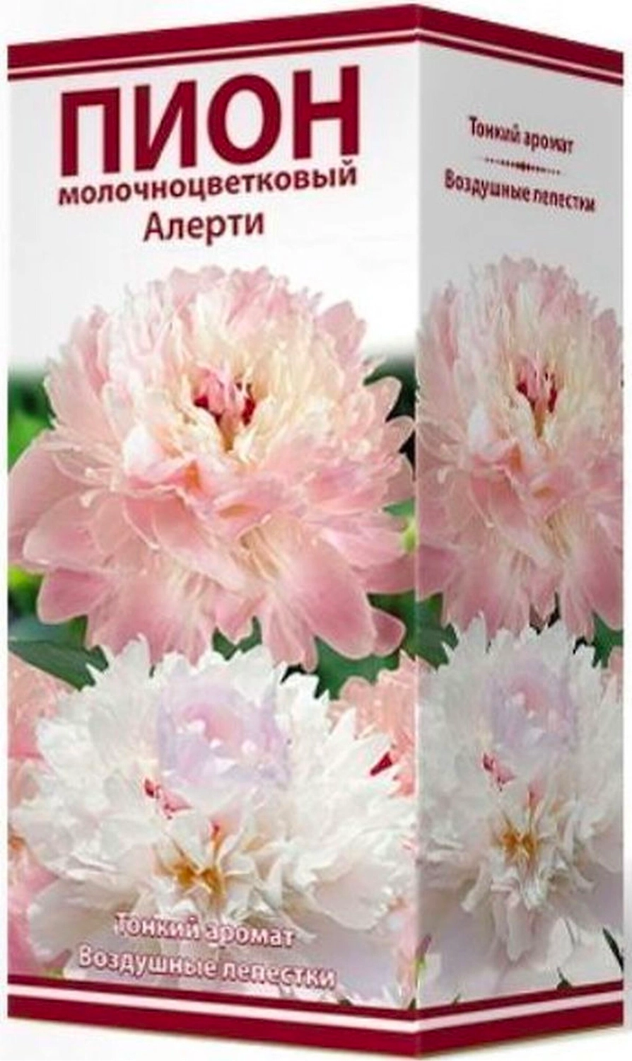 Корневище Пиона ПОИСК Алерти