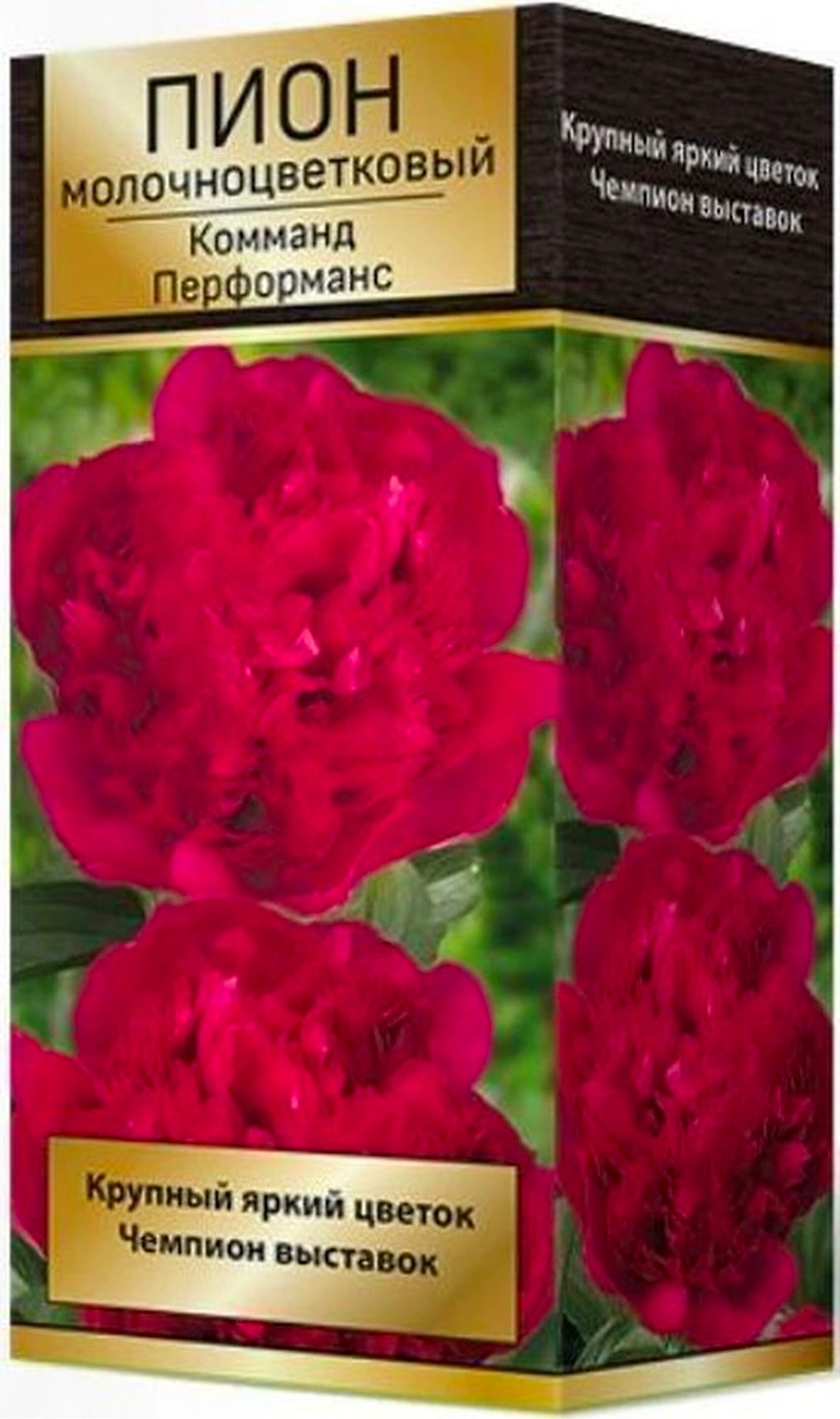 Корневище Пиона ПОИСК Комманд Перформанс