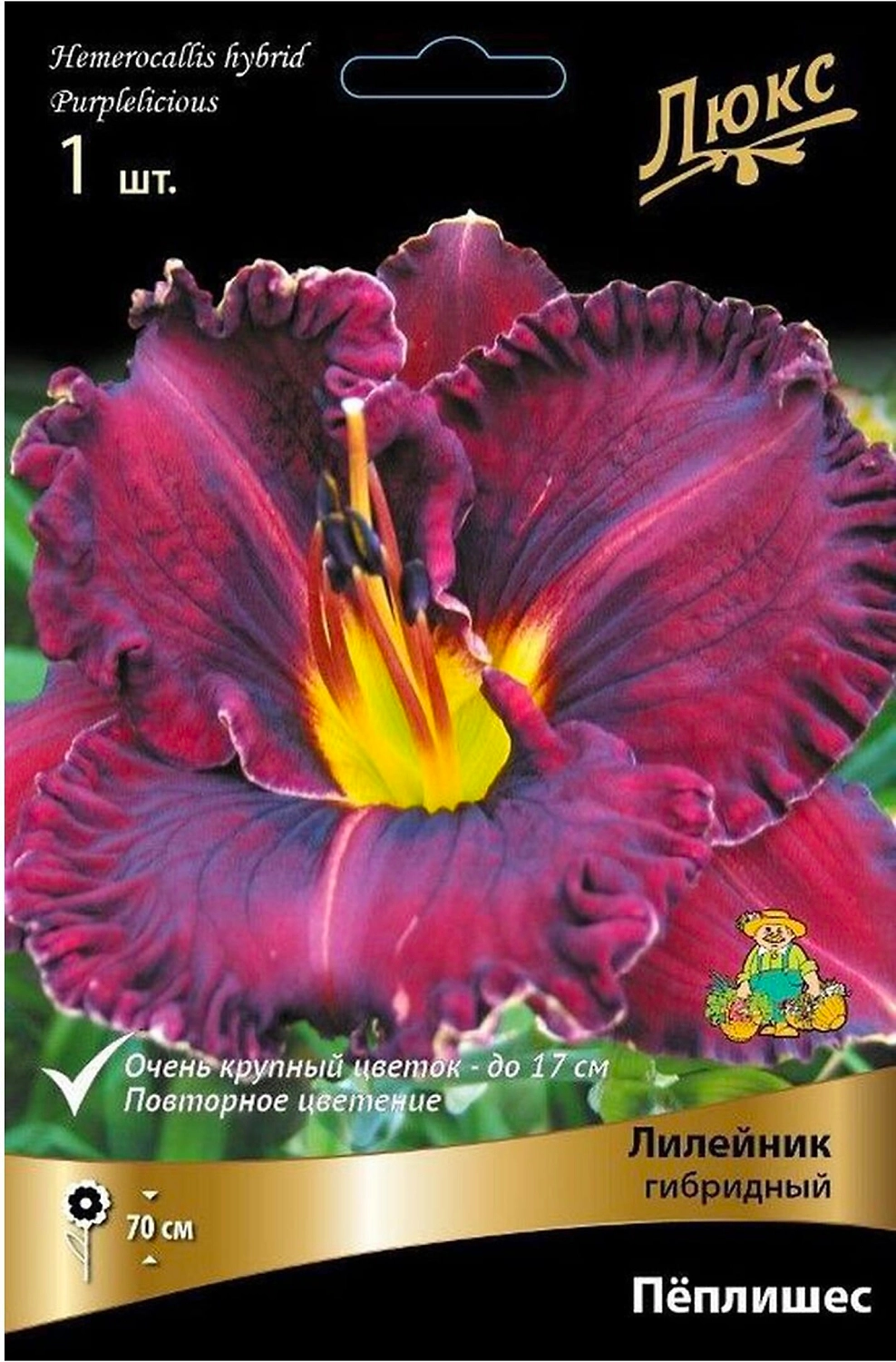 Луковица лилейника гибридного ПОИСК Пеплишес 1 шт