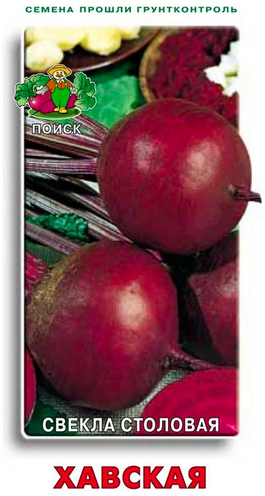 Семена Свеклы столовой ПОИСК Хавская 3 г