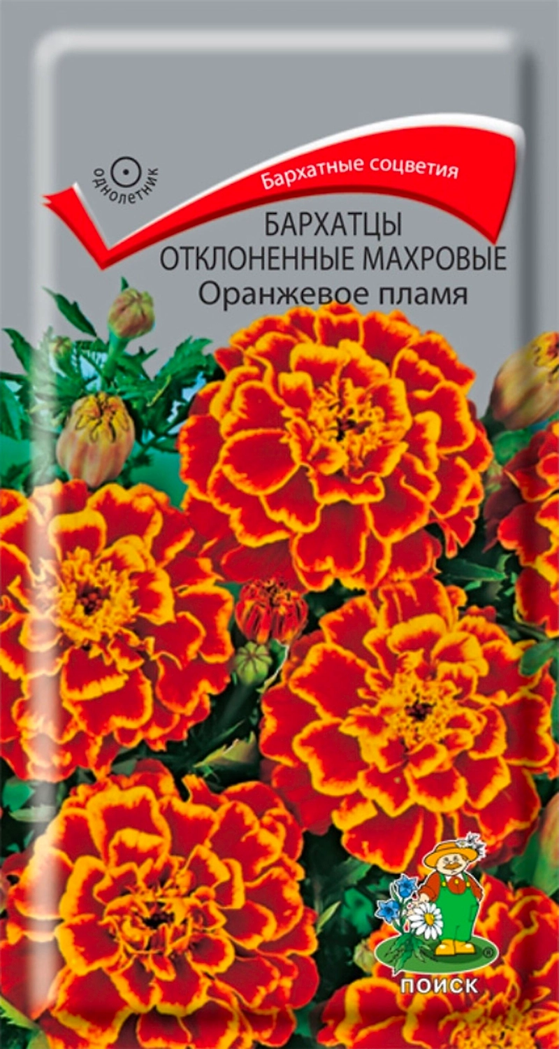 Семена Бархатца отклоненного махрового ПОИСК Оранжевое пламя 0,4 г