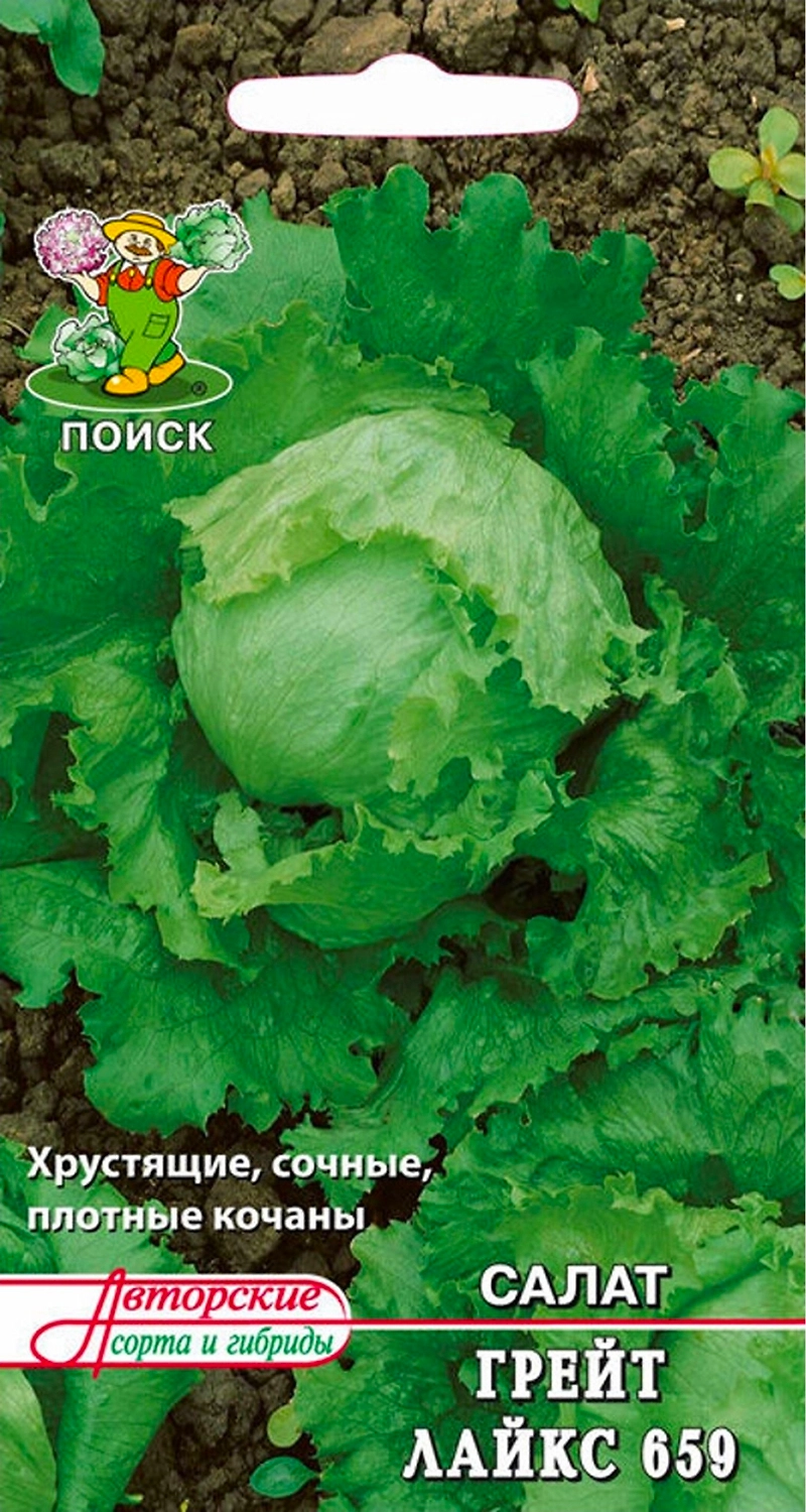 Семена Салата ПОИСК Грейт Лайкс 659 1 г