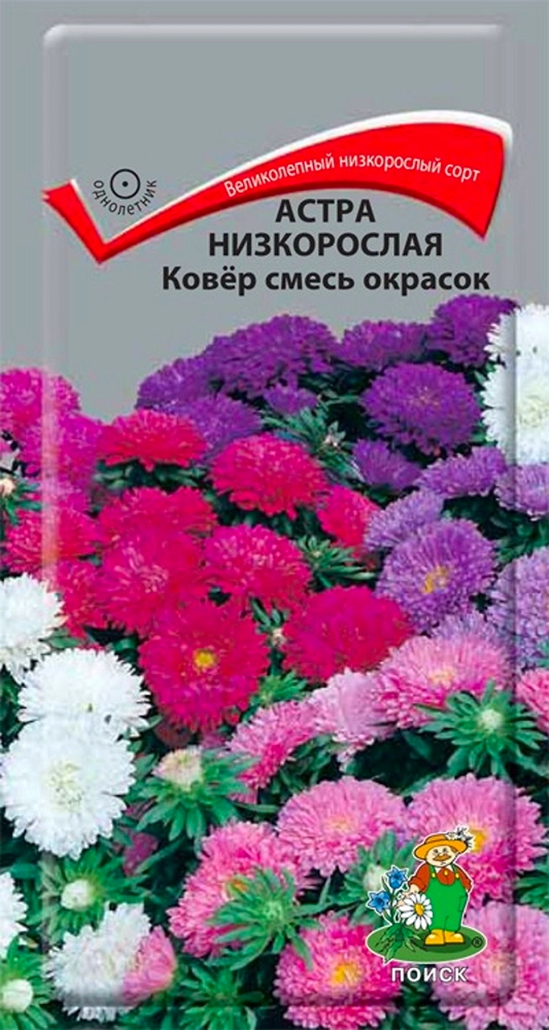Семена Астры низкорослой ПОИСК Ковер 0,2 г