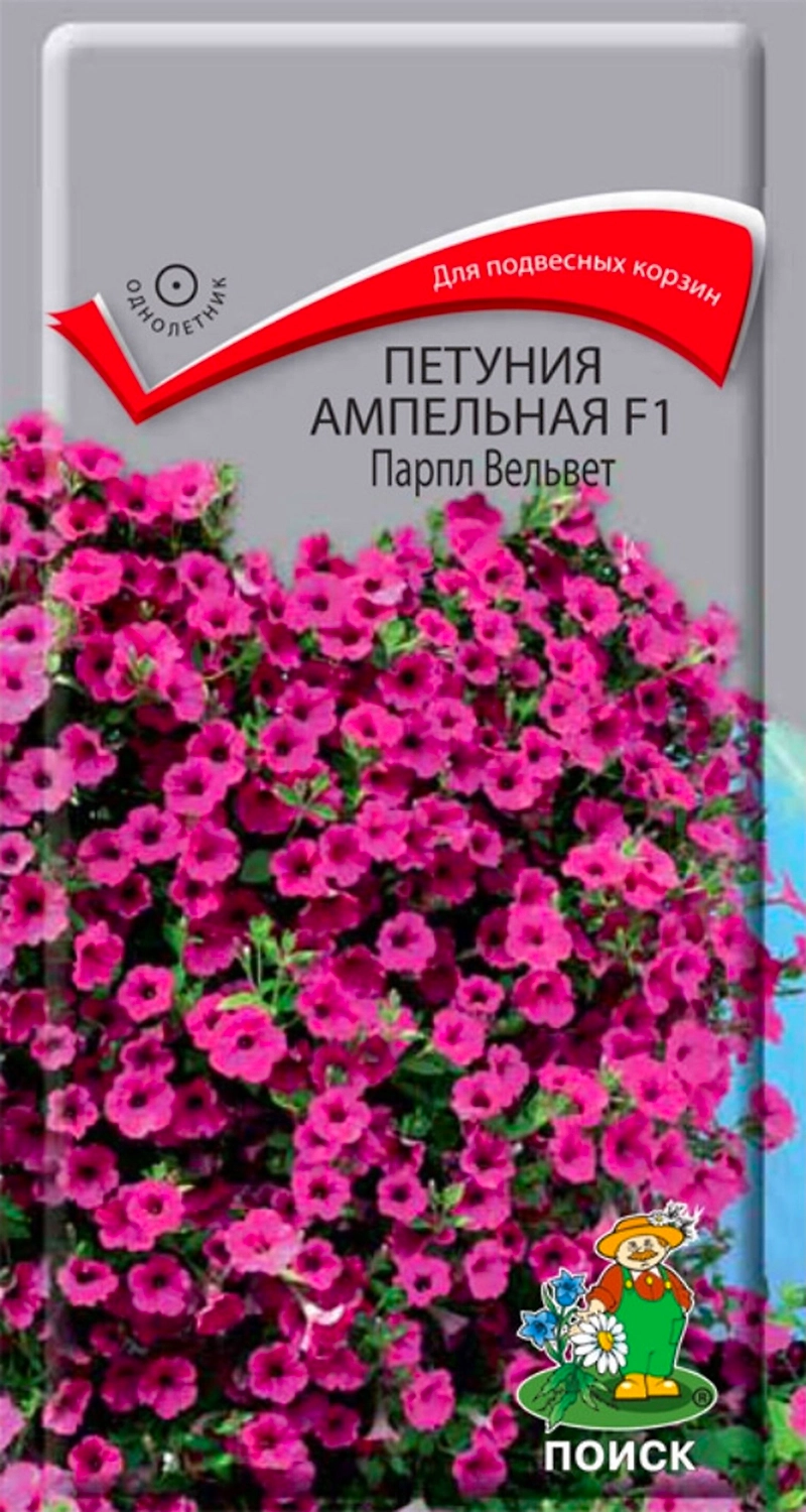 Семена Петунии ампельной ПОИСК Парпл Вельвет F1 5 шт